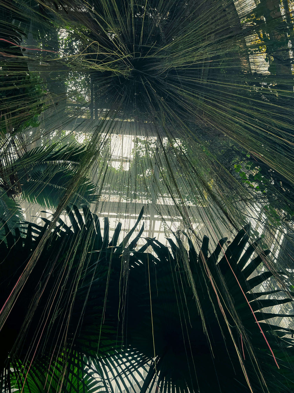 Futuristic Nature