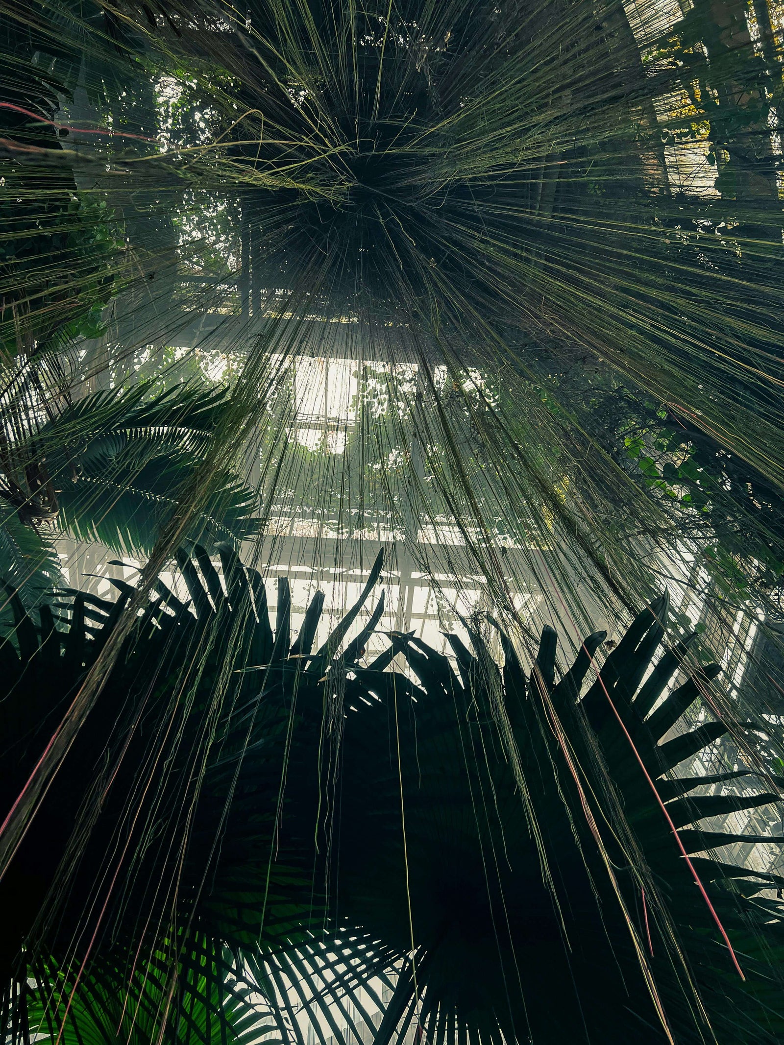 Futuristic Nature